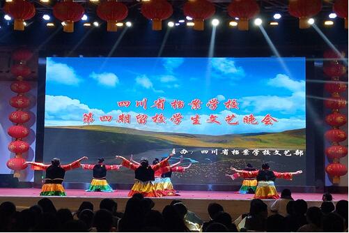 濃情五月 激揚(yáng)青春――我校團(tuán)委舉辦第四期留校學(xué)生文藝晚會(huì)